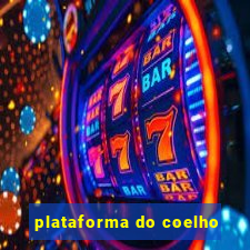 plataforma do coelho